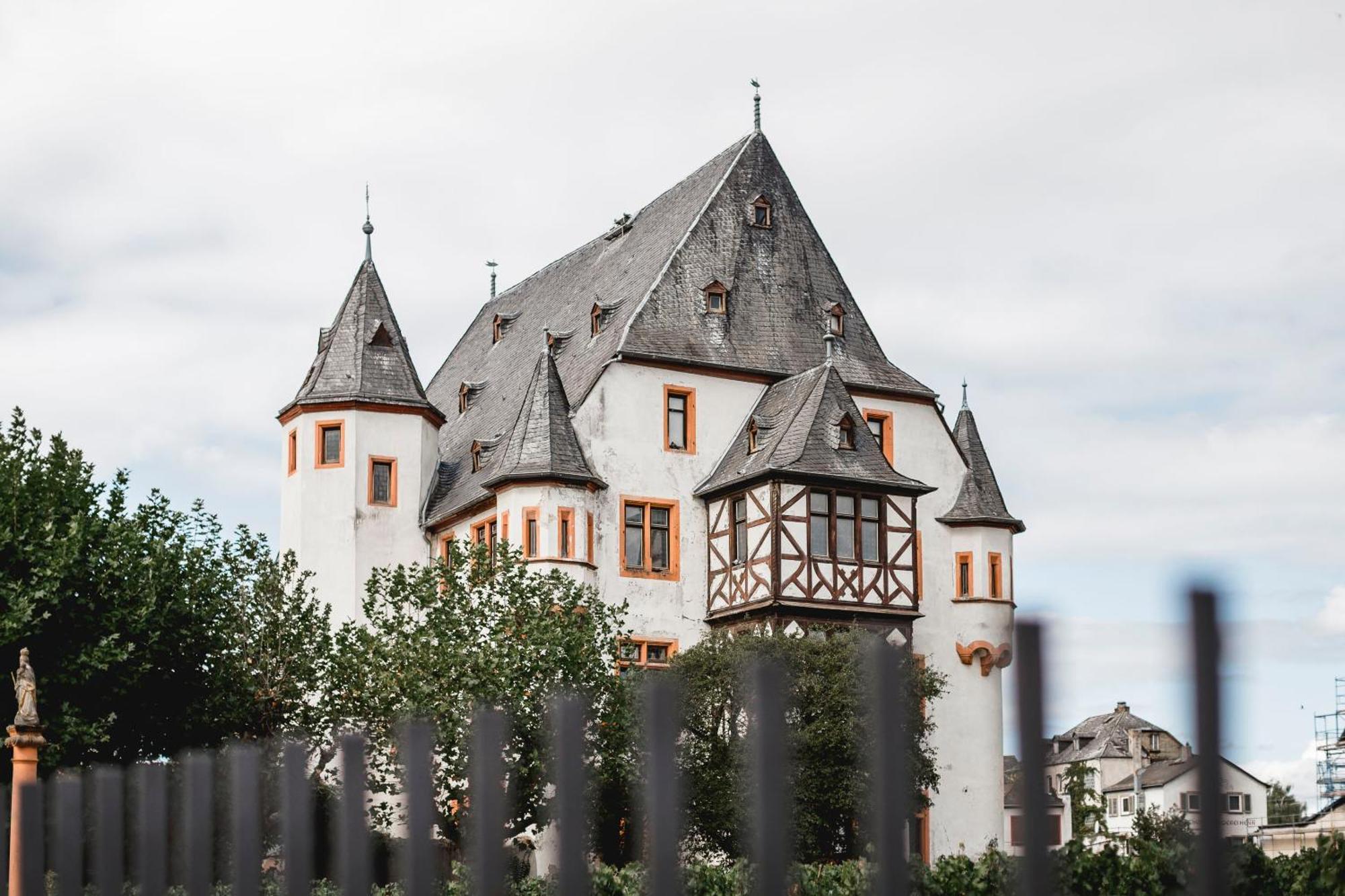 Schloss Schoenborn Гайзенхайм Экстерьер фото